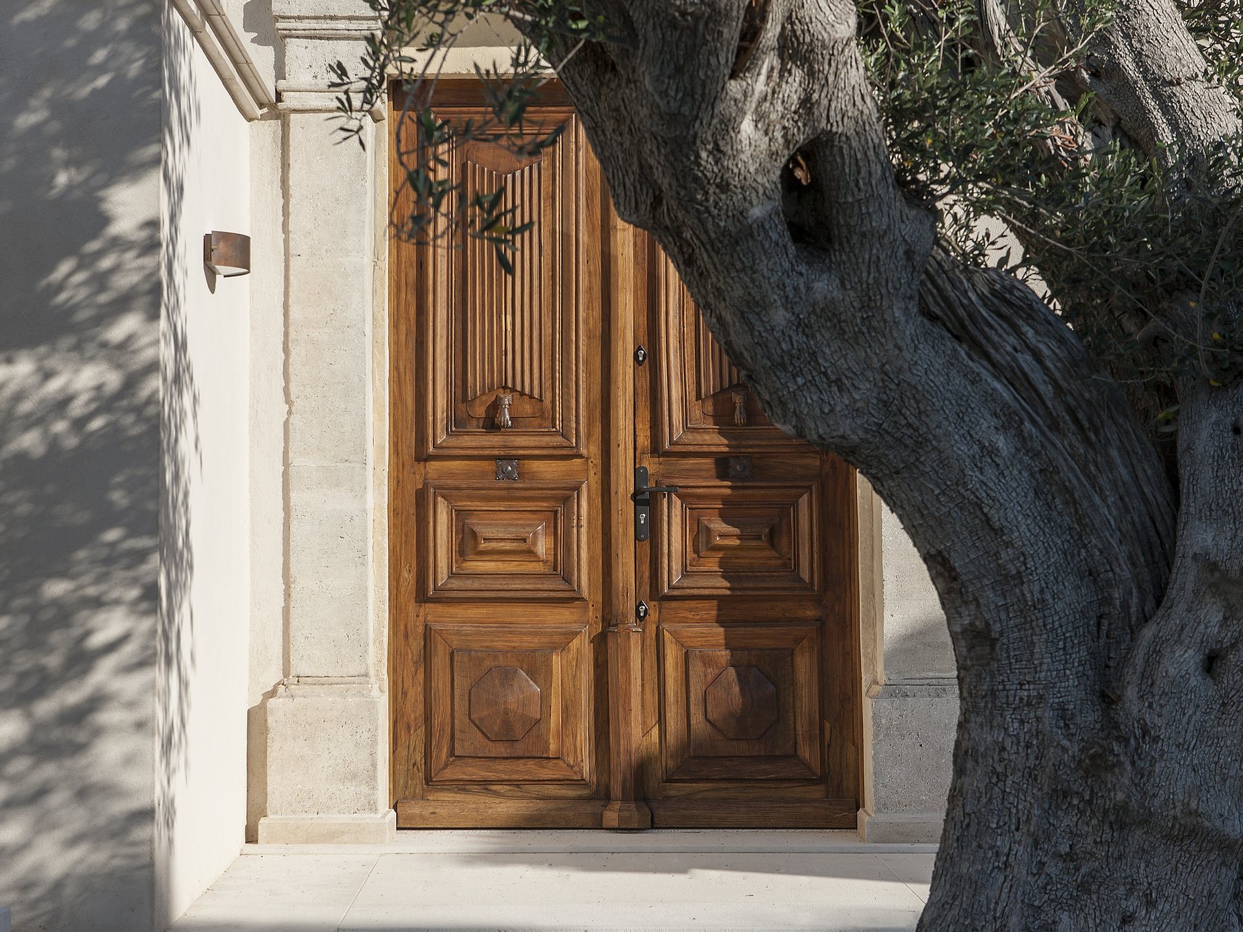 Portone in legno intagliato fra la pietra e un olivo, Sea House, St. Tropez